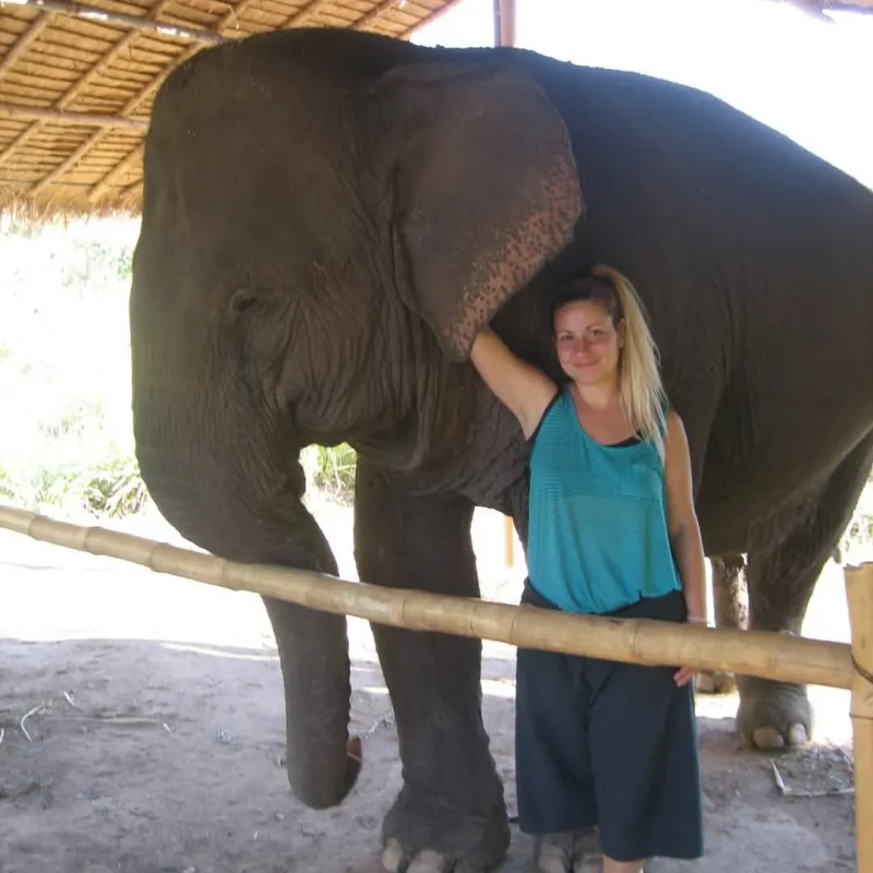 Area 432Hz Thai Massage 7